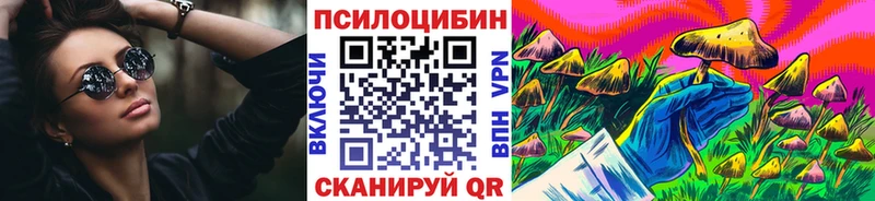 купить закладку  Сокол  Галлюциногенные грибы Magic Shrooms 